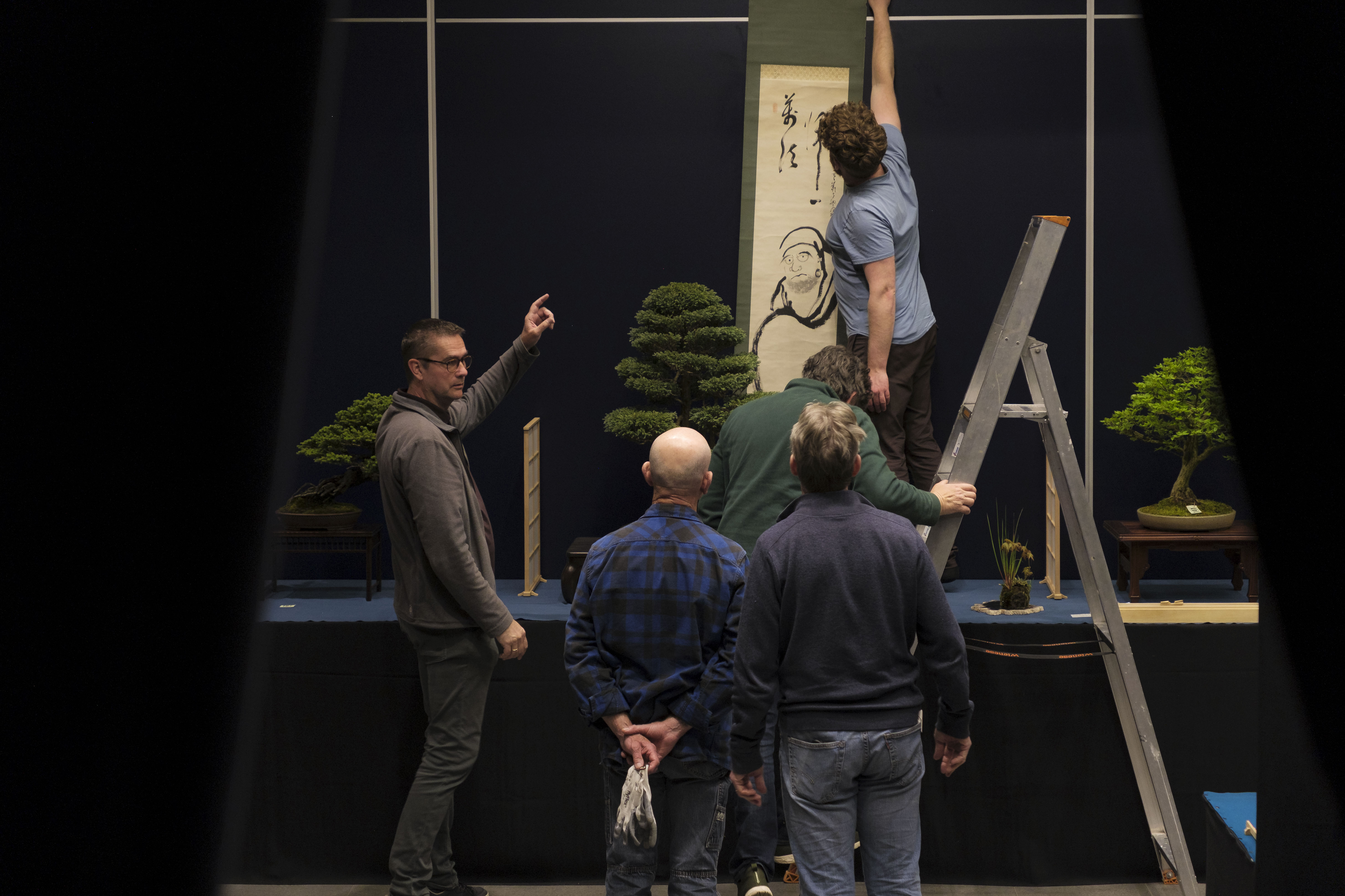 tentoon gestelde bonsai bomen