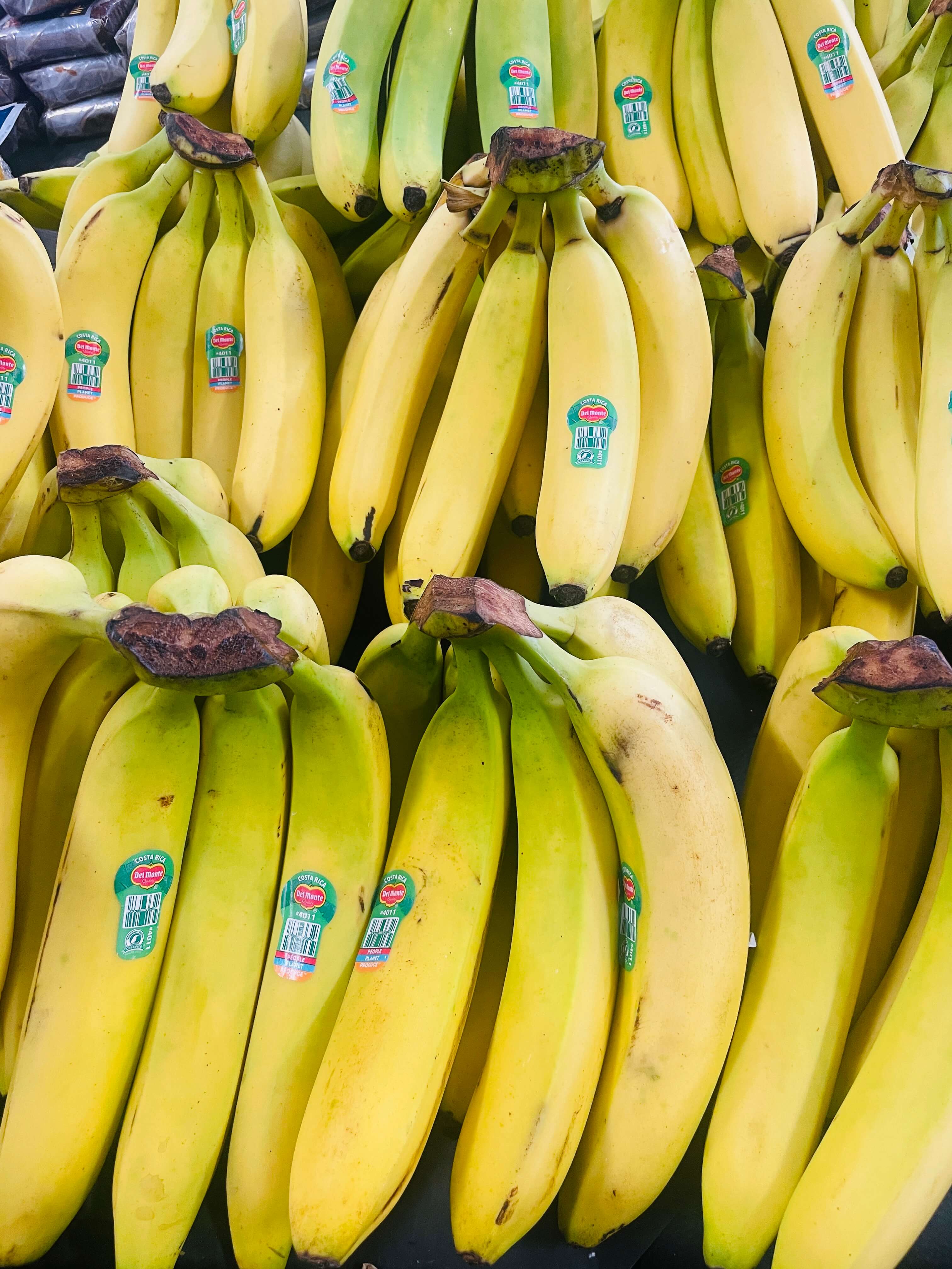 Bananas at International Food Market Orlando, Orlando's top spot for fresh produce.