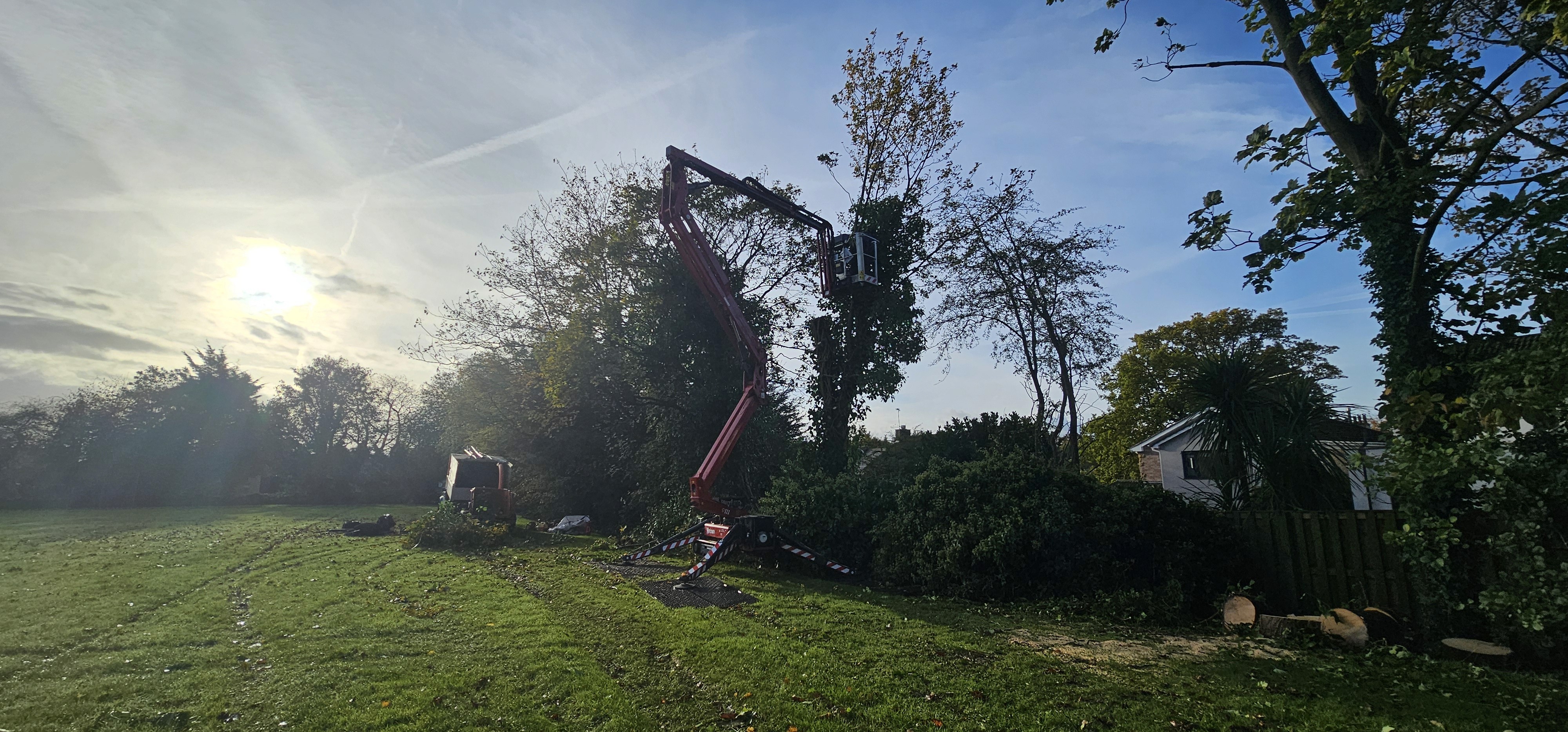 birds eye photo of forest and mountains