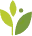 blob_hlf7st.webp