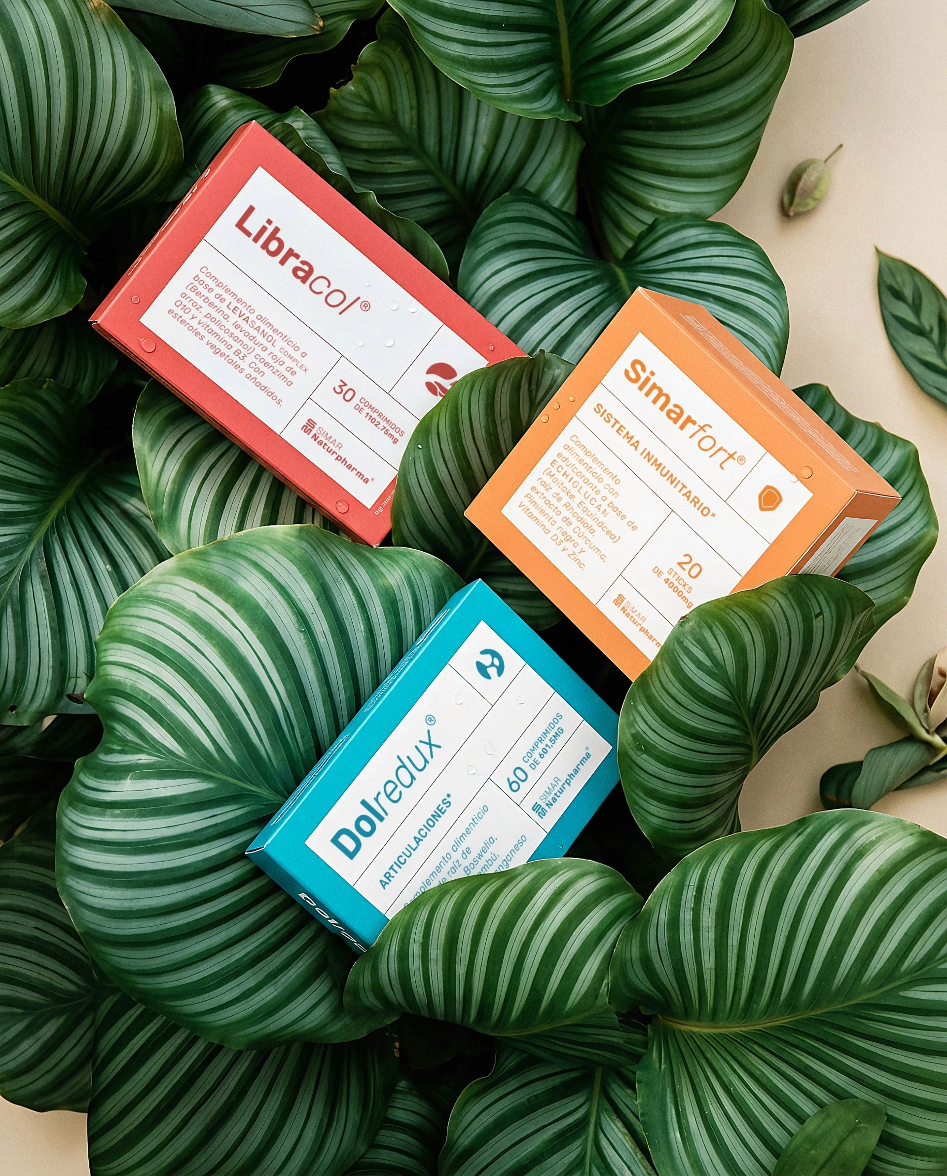 Packaging by freelance graphic and brand identity designer Barcelona.