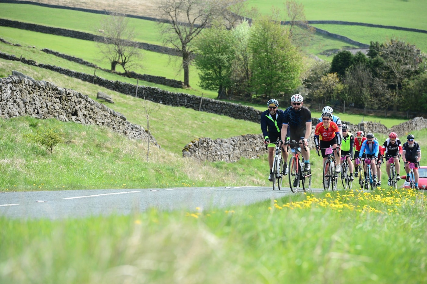 A group of cyclists riding together on a country road, showing that fueling needs scale with each sport and session length.