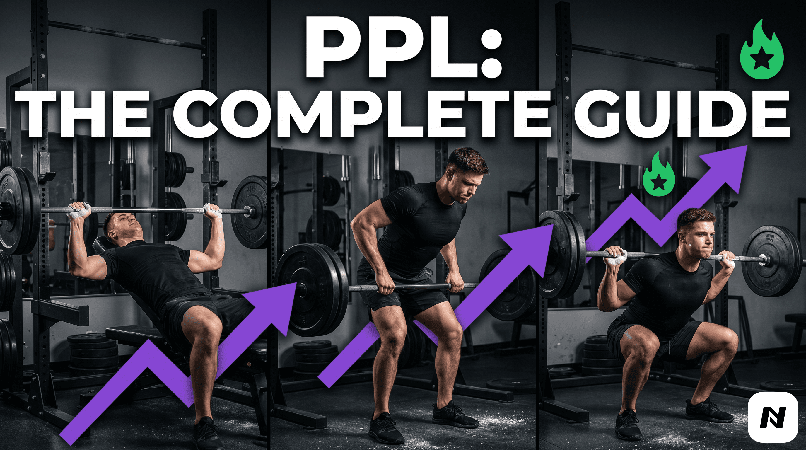 A complete guide to a Push Pull Legs Workout Plan