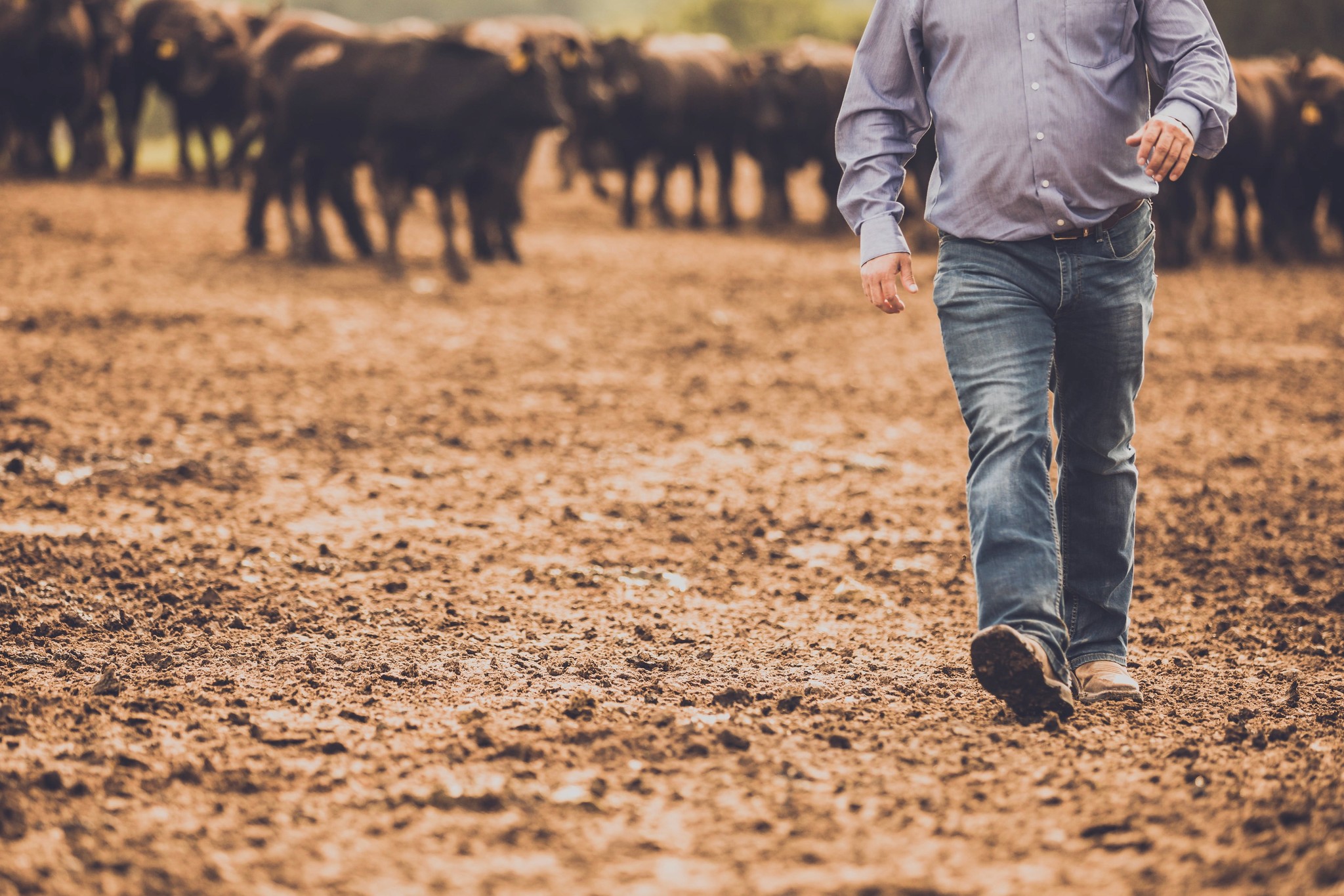 black hills energy super bowl ad spot Dustin Ripper Fairbury Nebraska