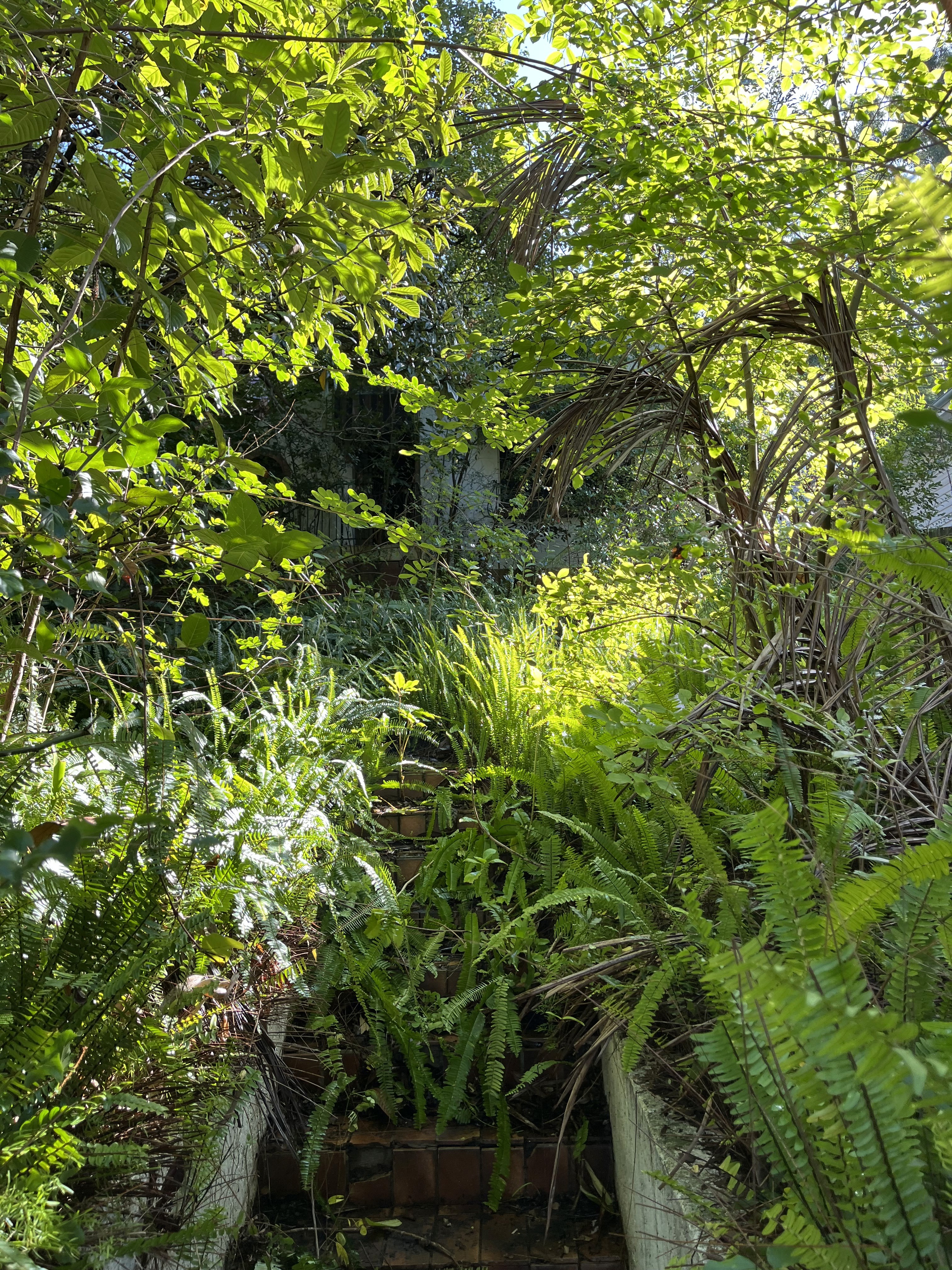 Beautiful landscaped garden with greenery and outdoor design elements.