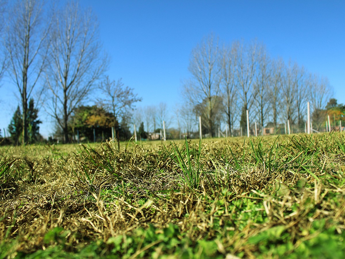 Lotes Para Todos - Cerro Rico 2