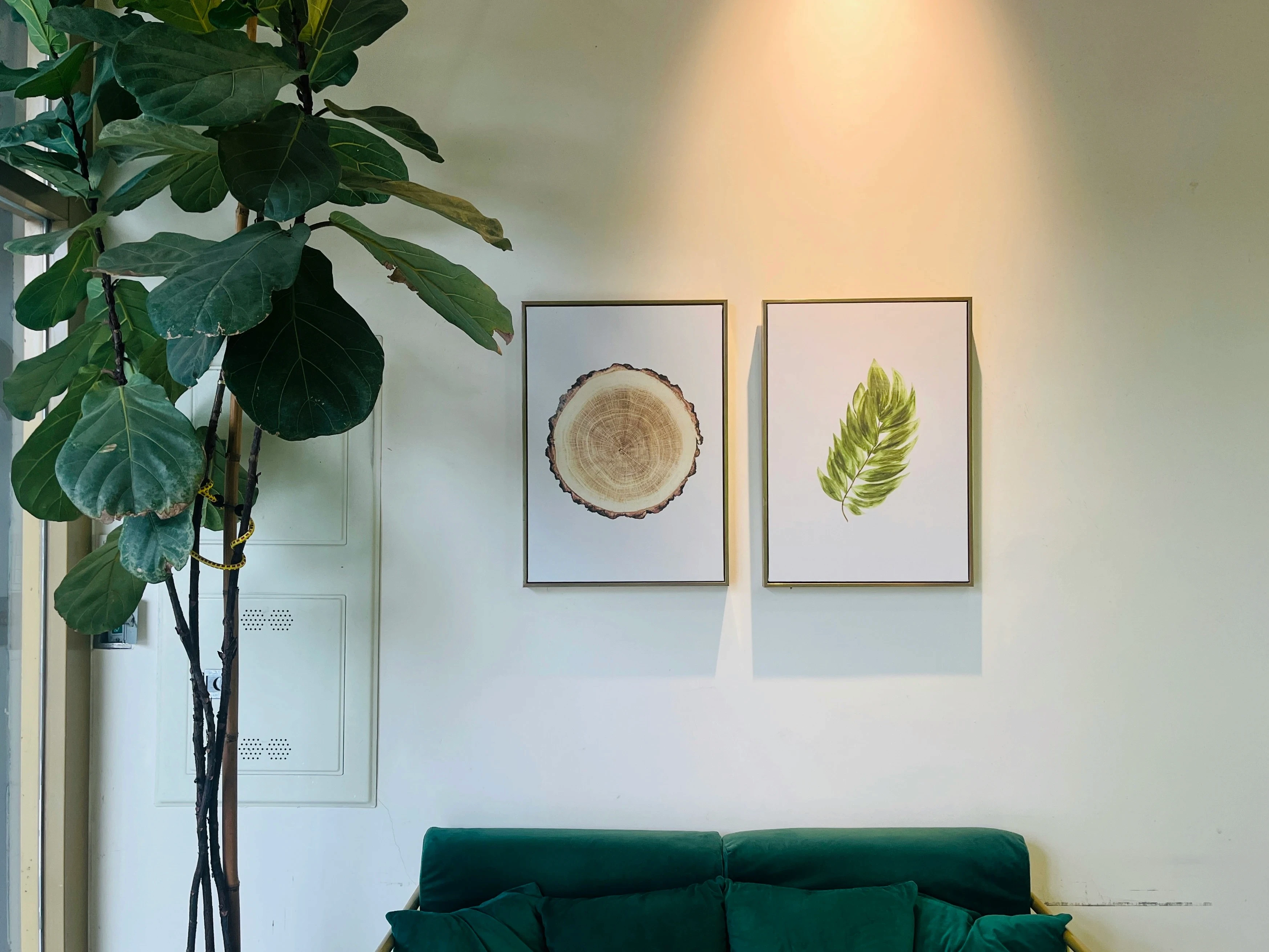 Calm and modern therapy office at Expansive Therapy featuring green plants, minimalist nature artwork, and a cozy velvet couch creating a peaceful LGBTQ affirming space.