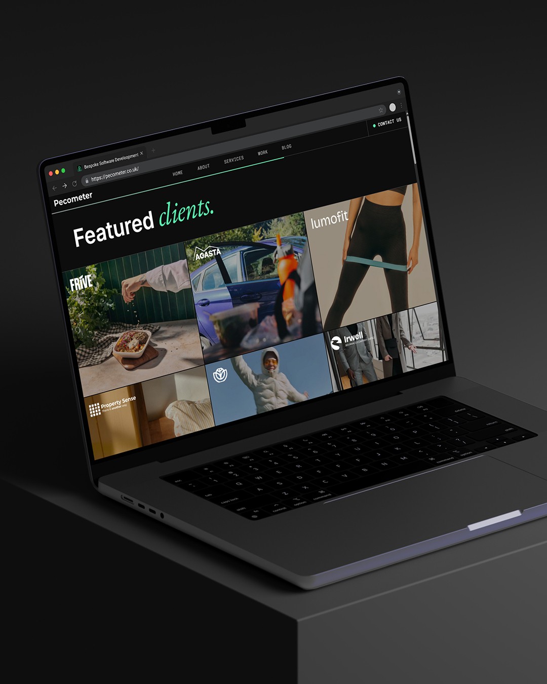 Pecometer Software UX/UI, Web and Brand Design - Pecometer website mockup