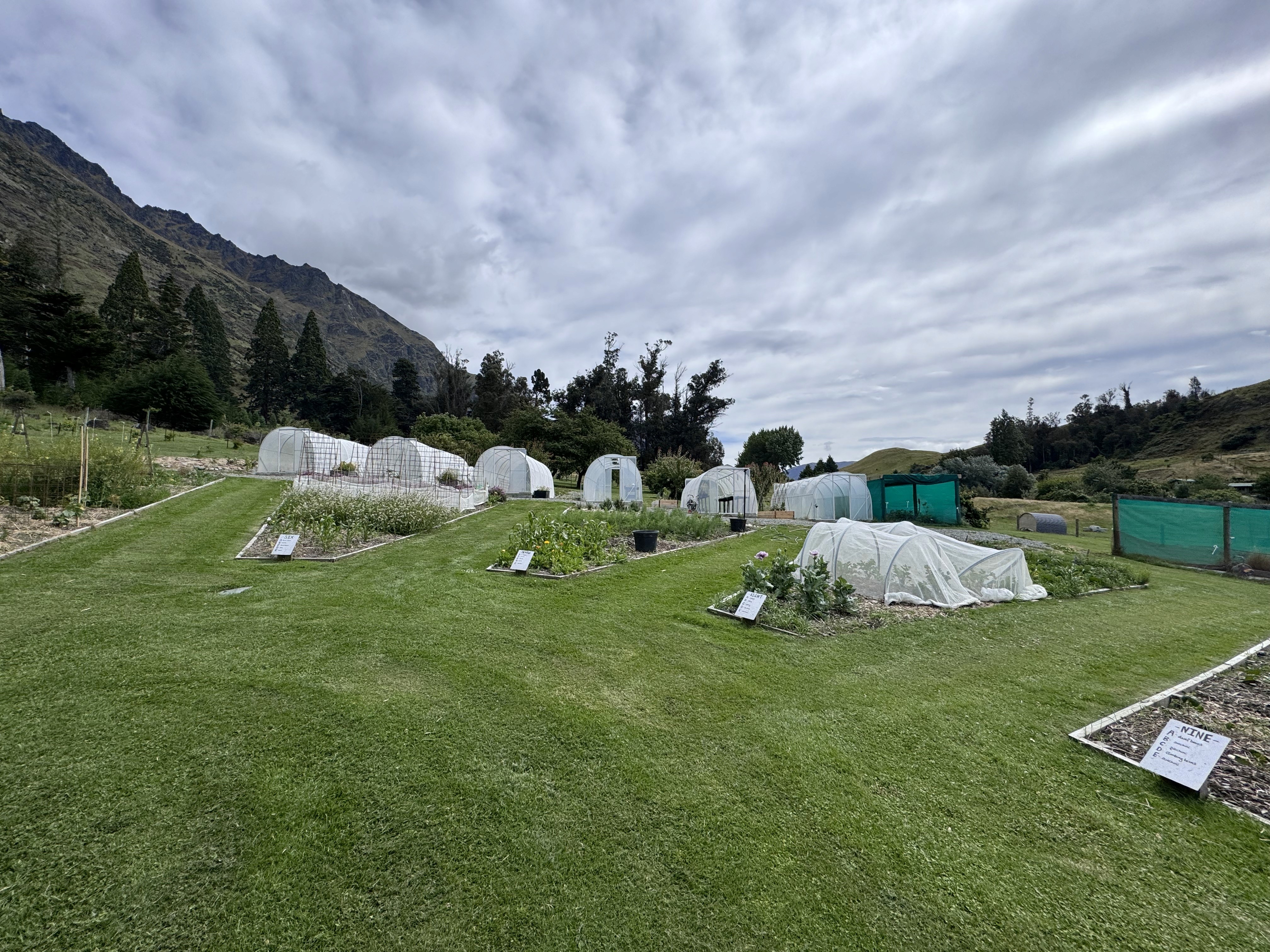 The green house at Walter Peak High Country farm 