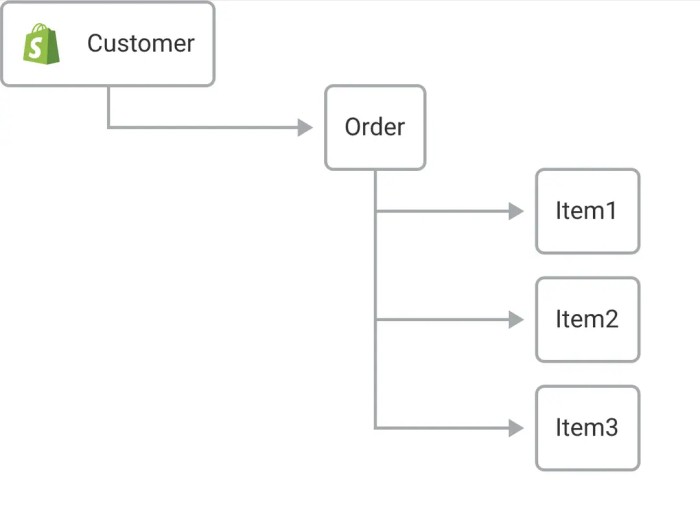 Esquema de datos en Shopify