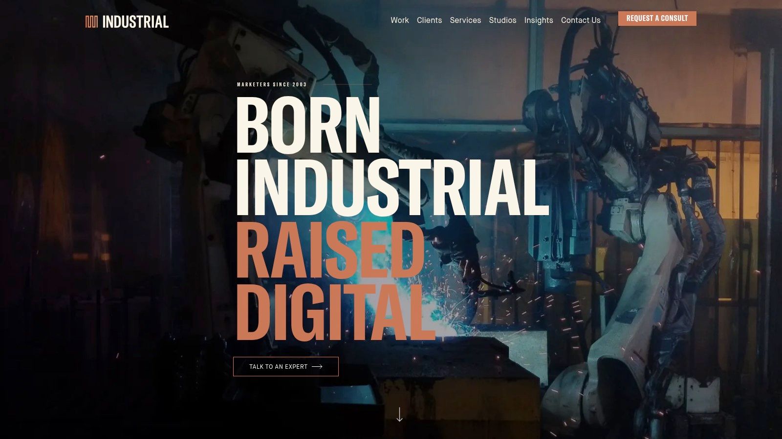 INDUSTRIAL (Industrial Strength Marketing)