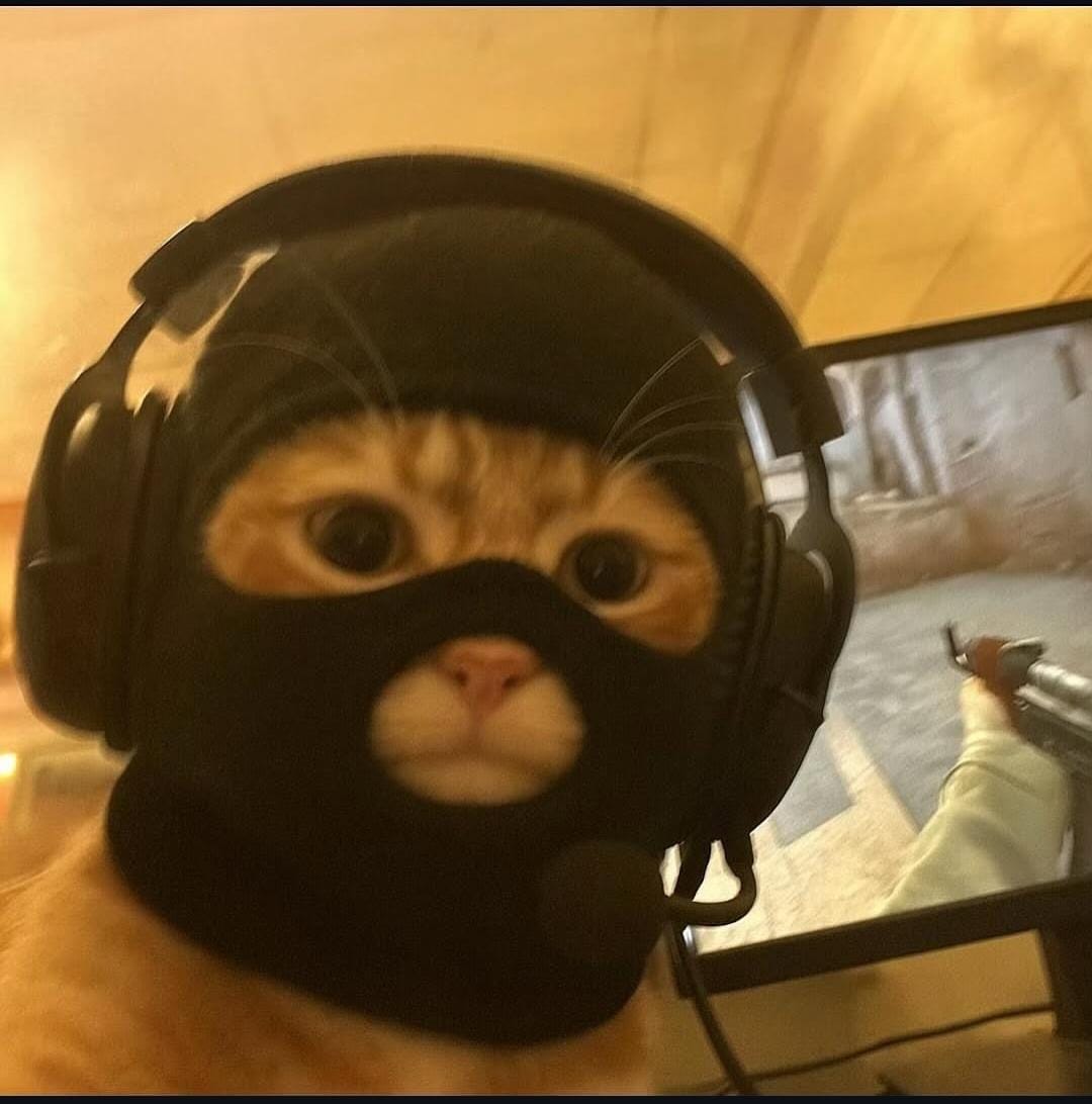 A male figure's head and shoulders illuminated by vibrant neon blue and orange light