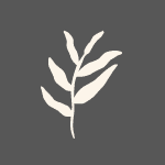 Brand Icon