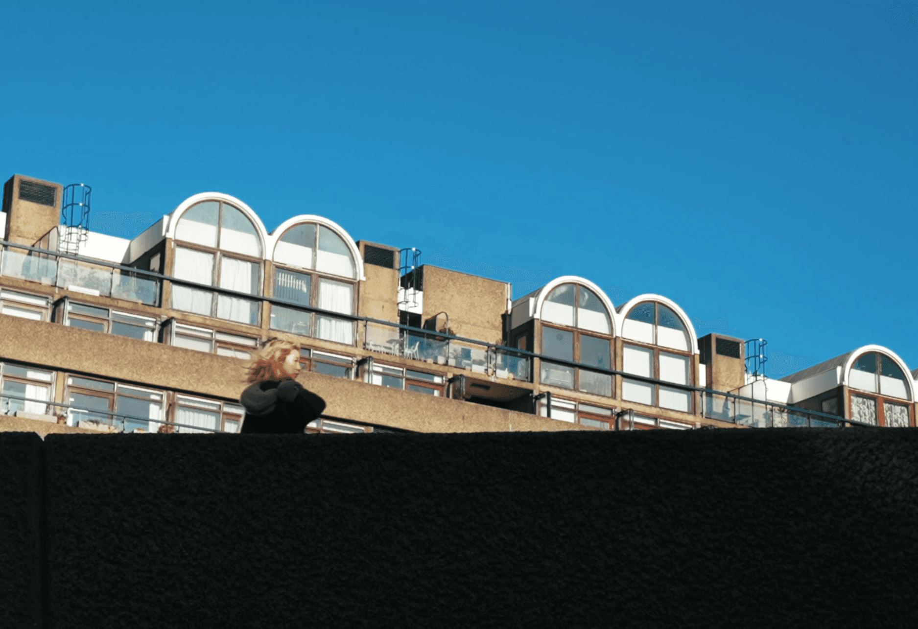 Shiba Inu dog jumping to catch falling autumn leaves