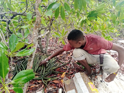 A child crouches near a tree, observing their surroundings in a lush green environment.