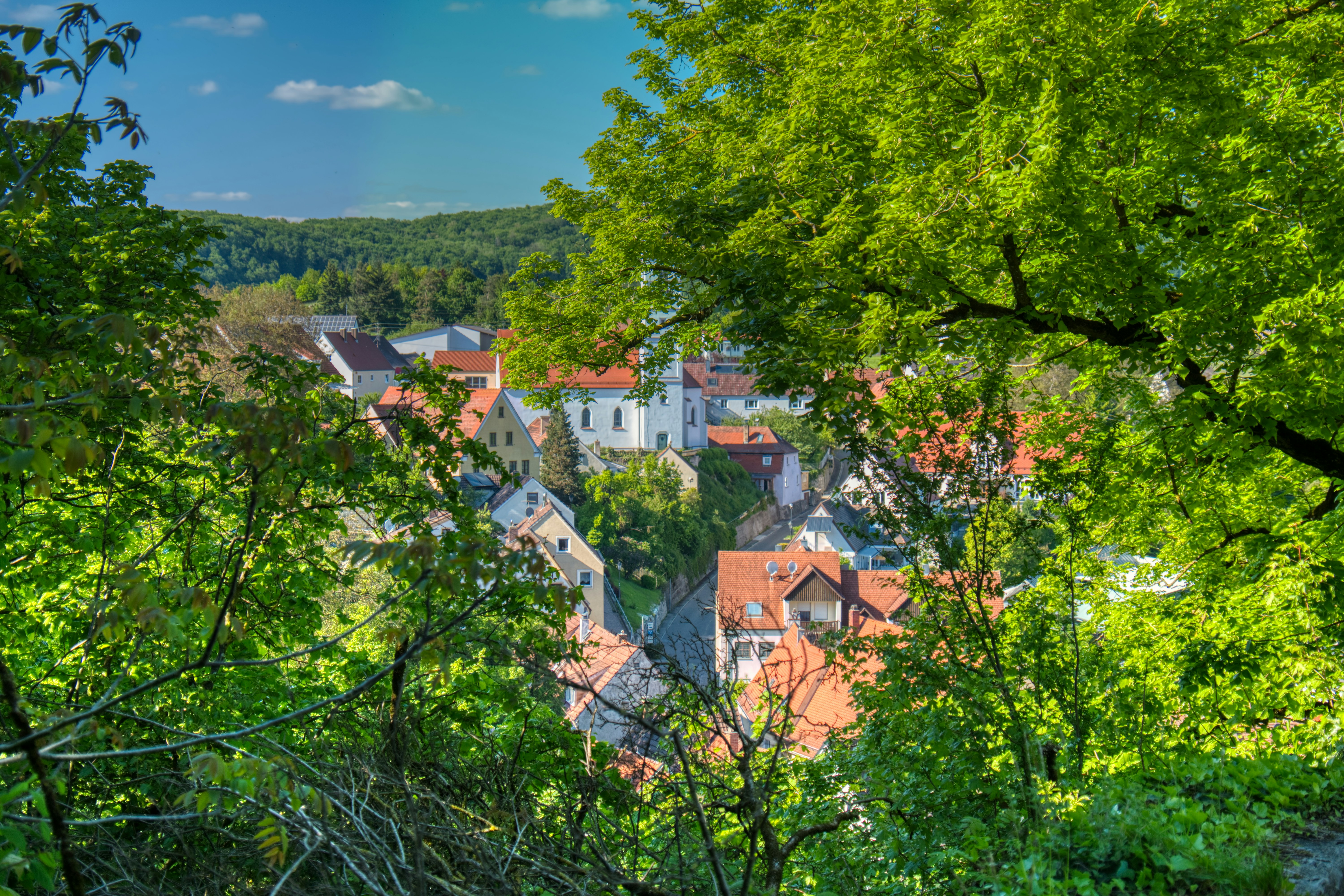 Two people looking at a laptop, one points at the screen. Man wears a cap and glasses. Woman in a green shirt.