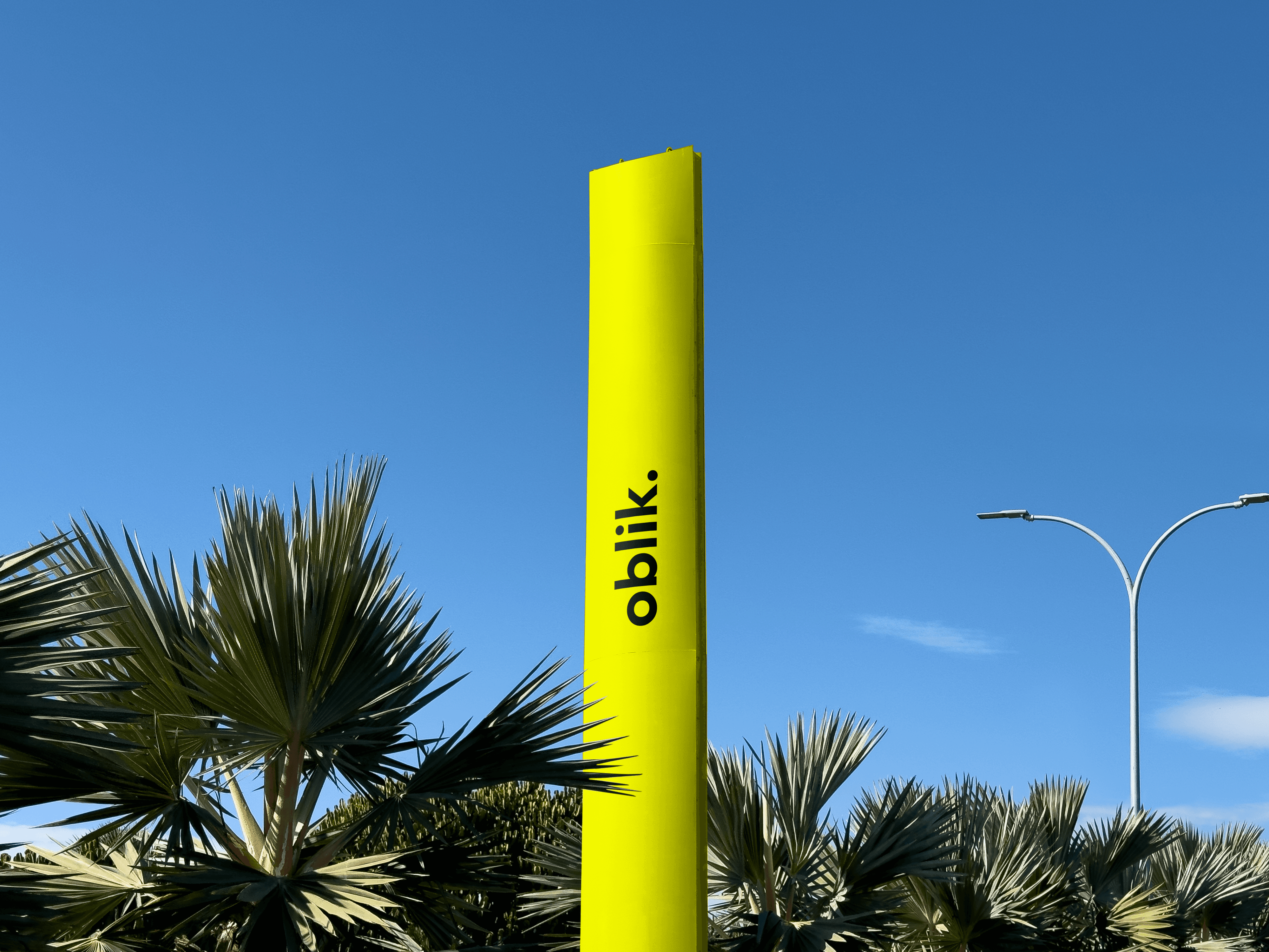 modern house in a forest