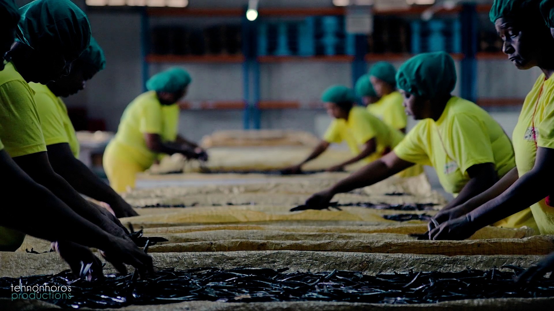 Workers in the factory of vanilla of madagascar