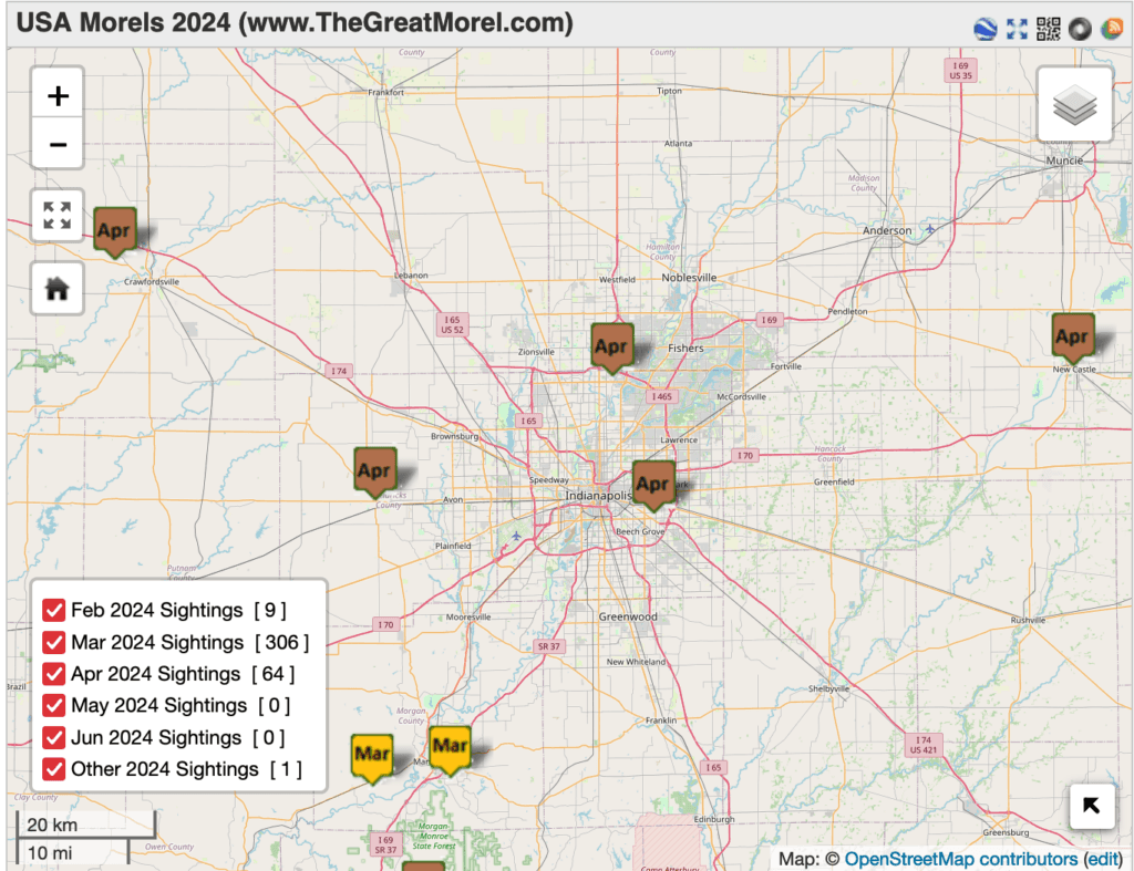 Morel Sightings in Indiana 2024