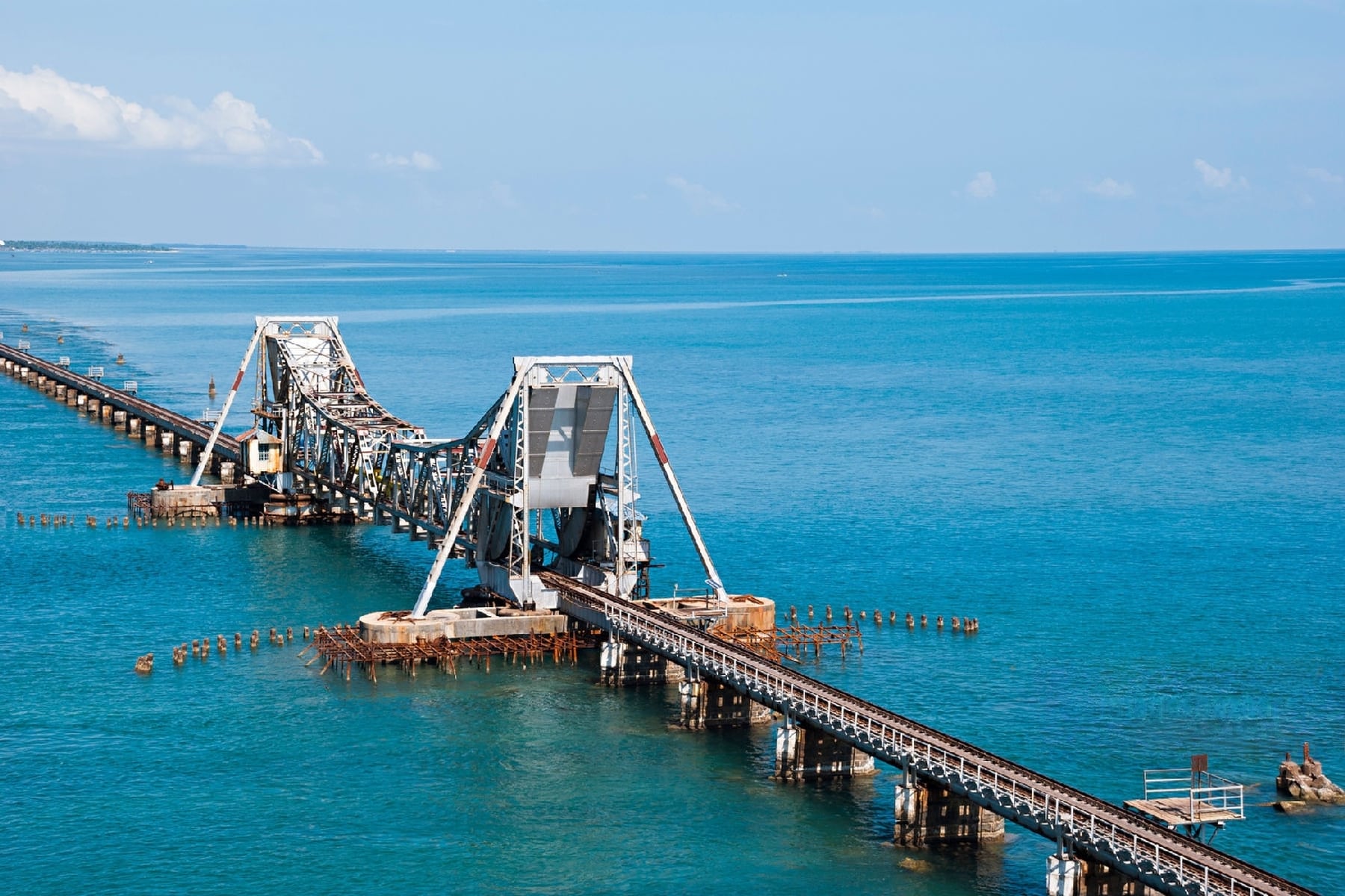 a decorated elephant walking down a busy street
