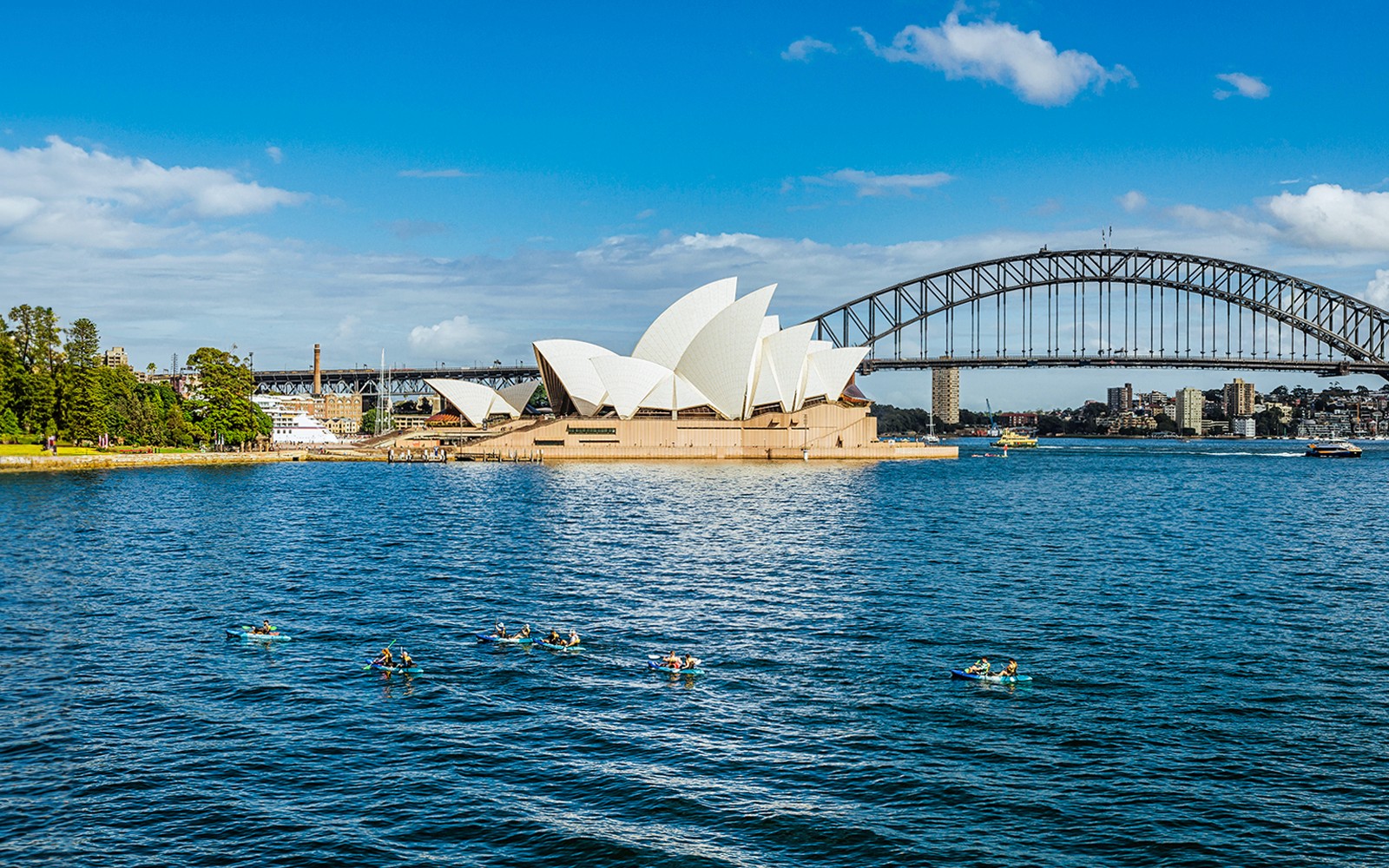 Kayaking group in Sydney Harbour.