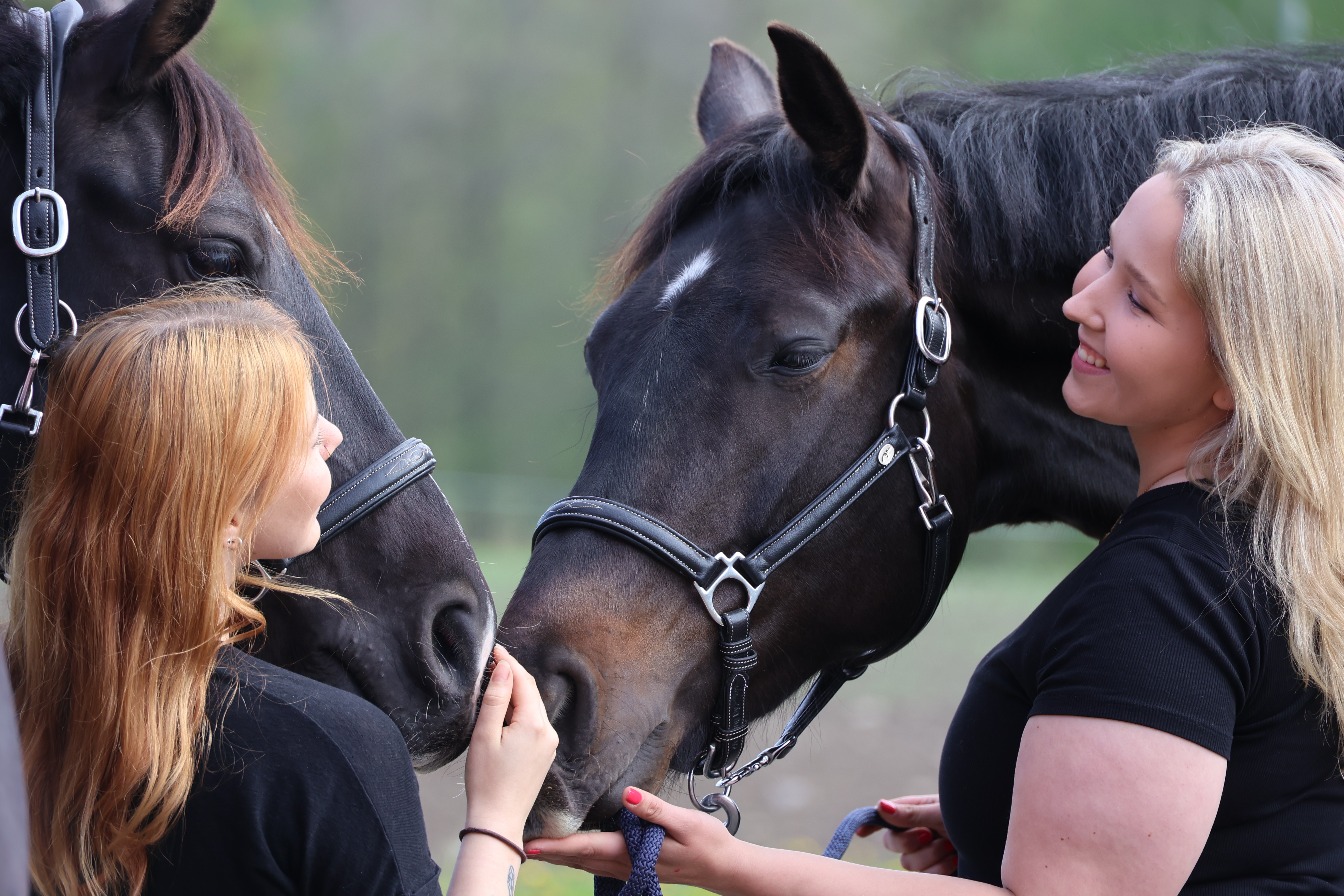 Two woman together with two horses