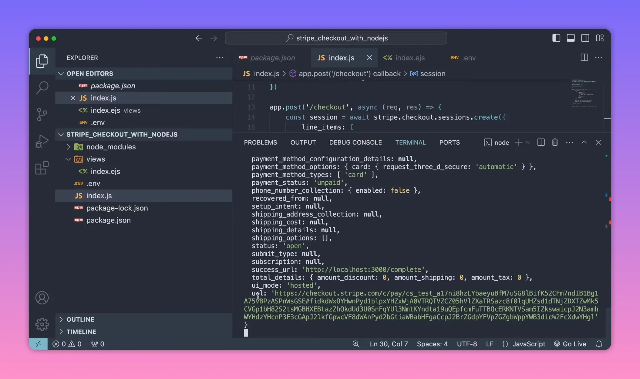 Terminal output showing Stripe Checkout session with success_url and the session's hosted URL