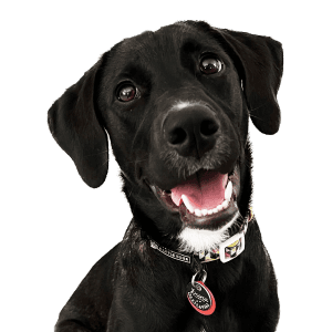 Picture of head of barketing Luna.