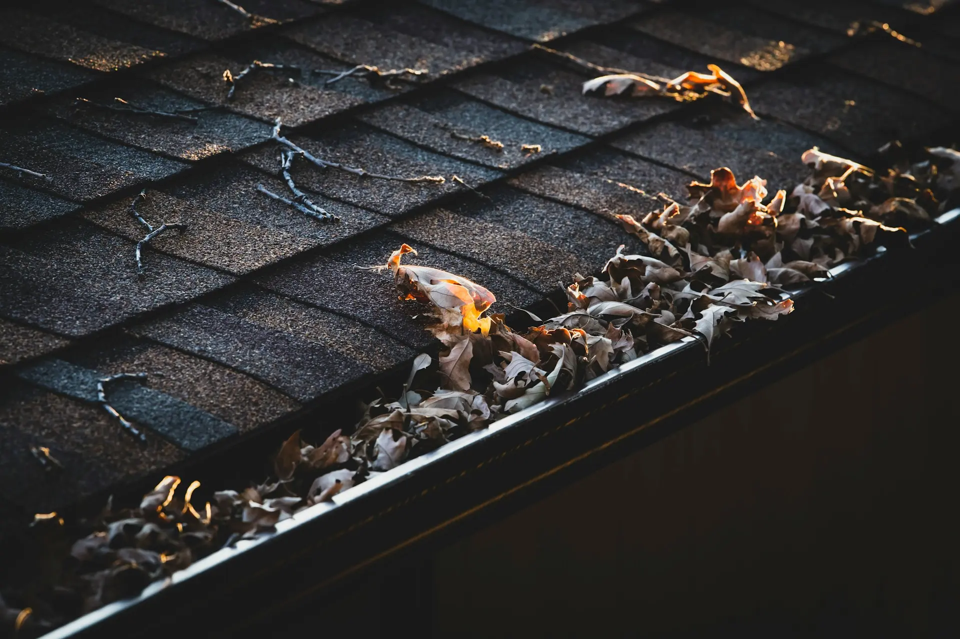 House roof and gutters in autumn