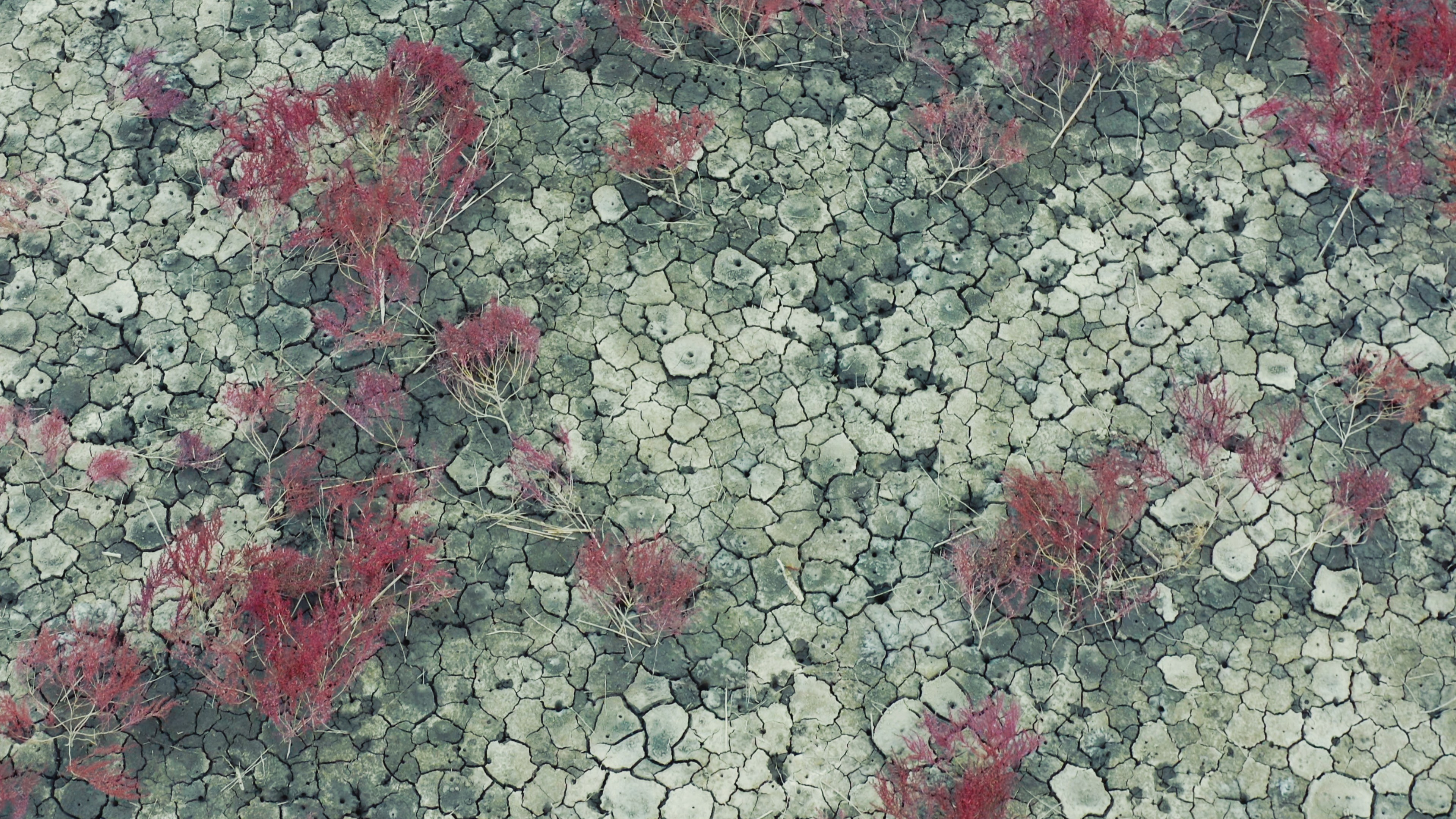 Blurred portrait of woman wearing futuristic helmet
