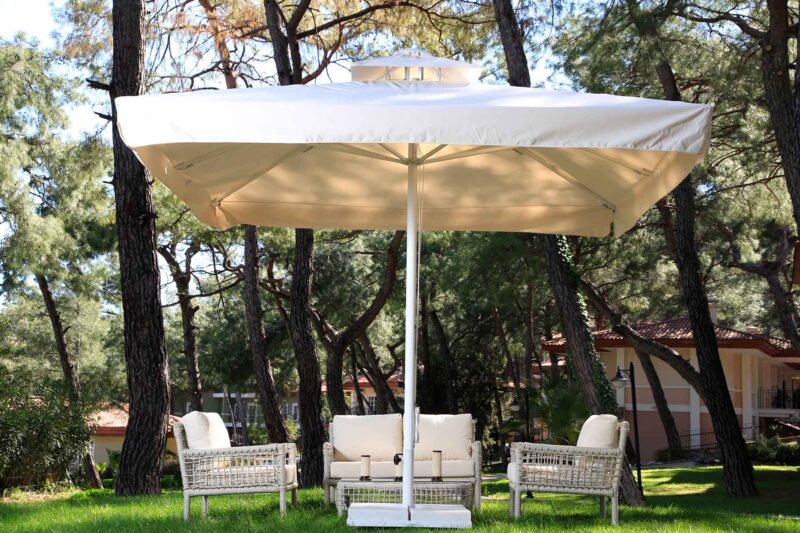 woman holding a phone and man looking at the phone. both are smiling