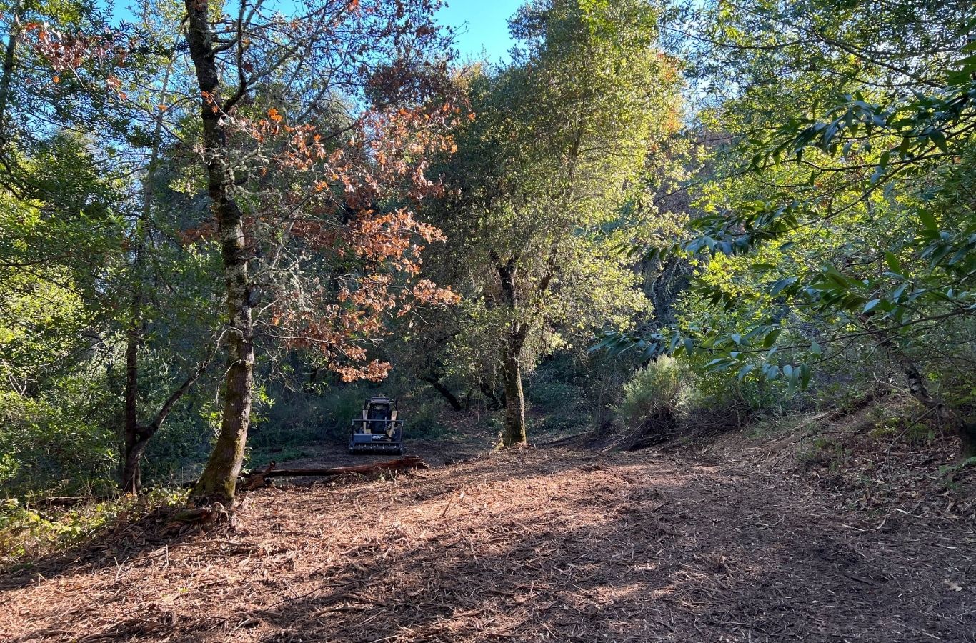 Lisac General Engineering expert providing land clearing services in Bay Area with professional tools and site preparation expertise. Land Clearing Services Near Me.