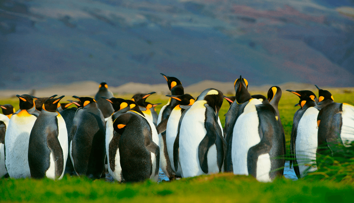 Real Estate Property image 1