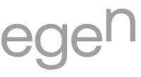 Egen solution llc