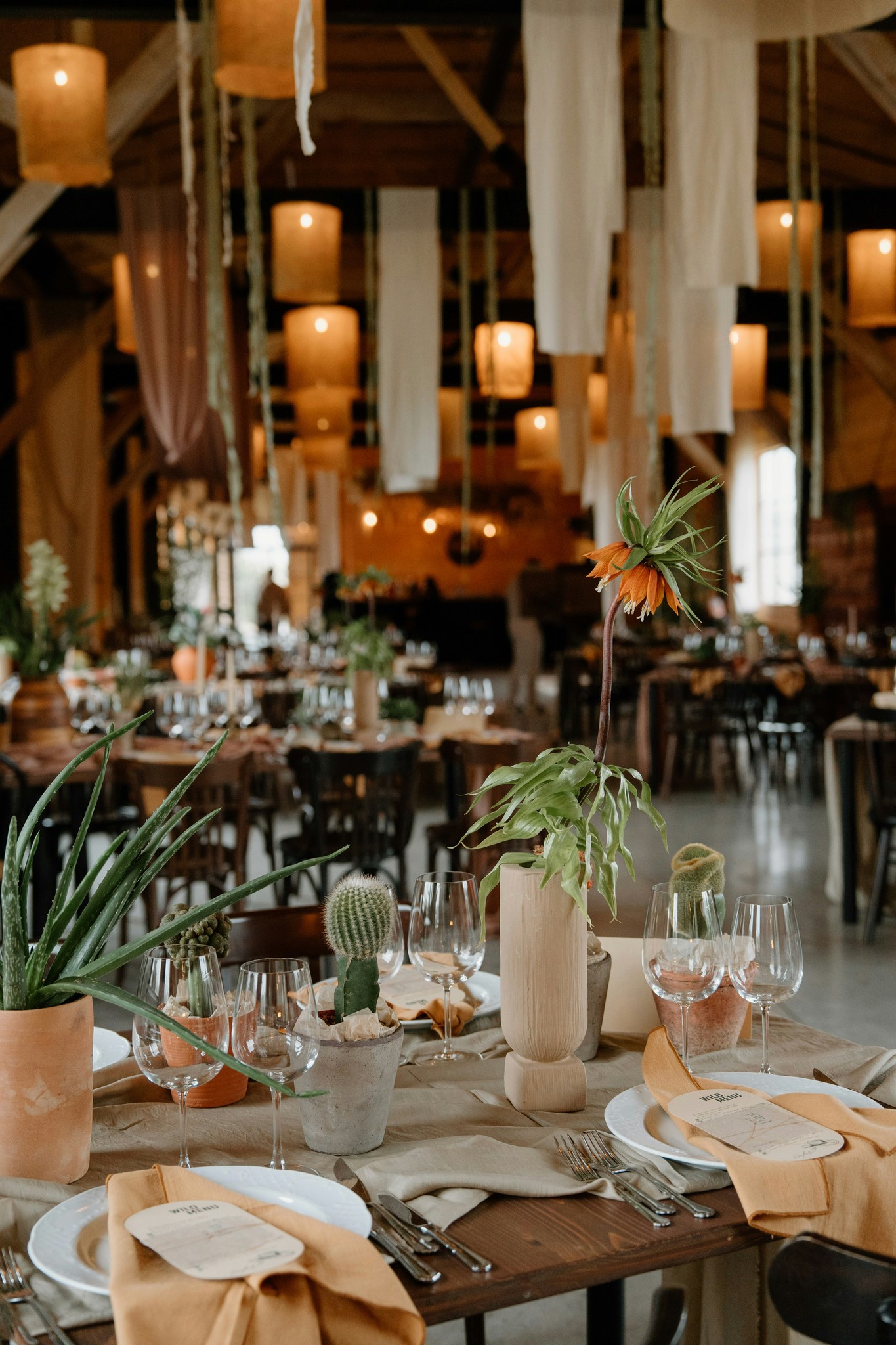 A boho reception hall with long wooden tables, potted cactus centerpieces and hanging fabric lanterns