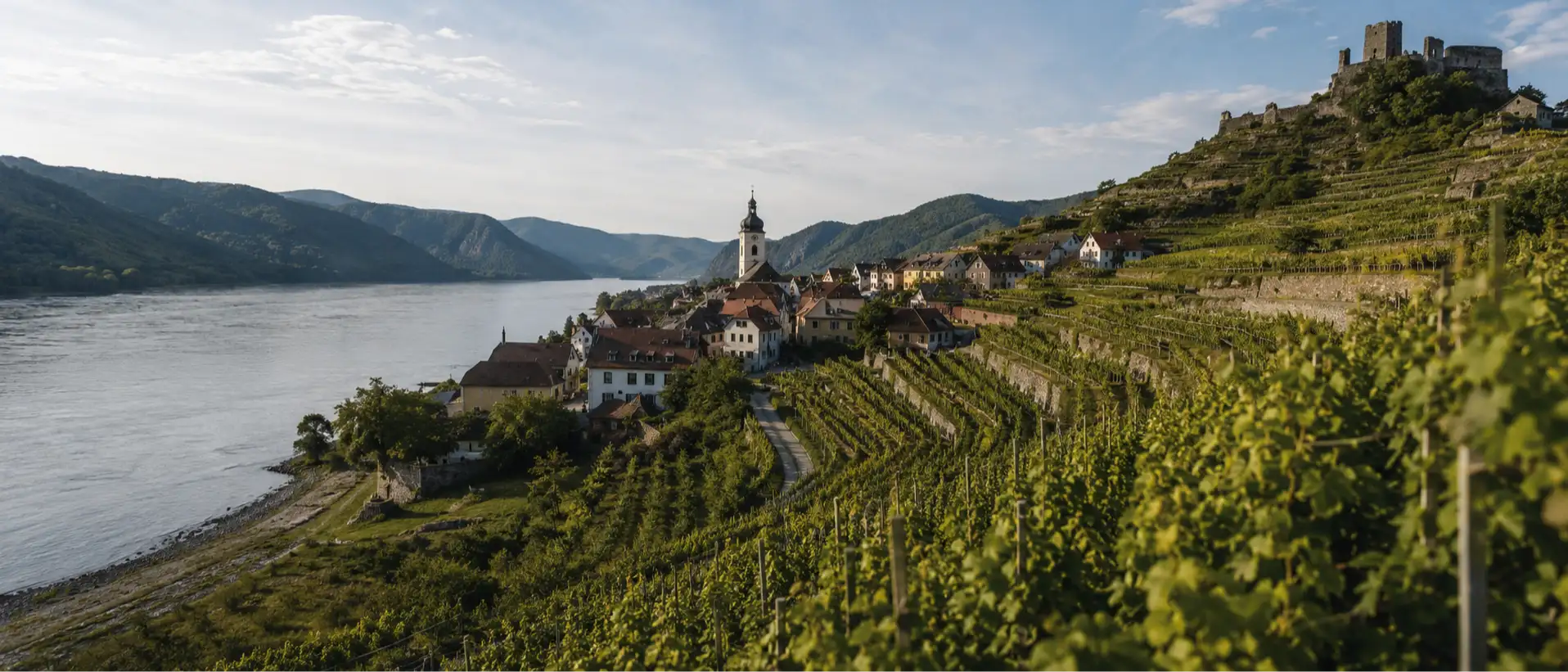Donau-Auenlandschaft in Niederösterreich mit Stift Klosterneuburg im Hintergrund, Symbolbild für niederösterreichische Hauskrankenpflege-Märkte