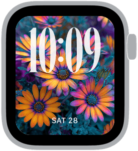 chromatic garden Apple Watch face preview 2 featuring floral, summer, and spring.