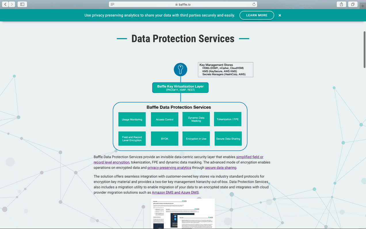 Screenshot of Baffle's previous Data Protection Services Page