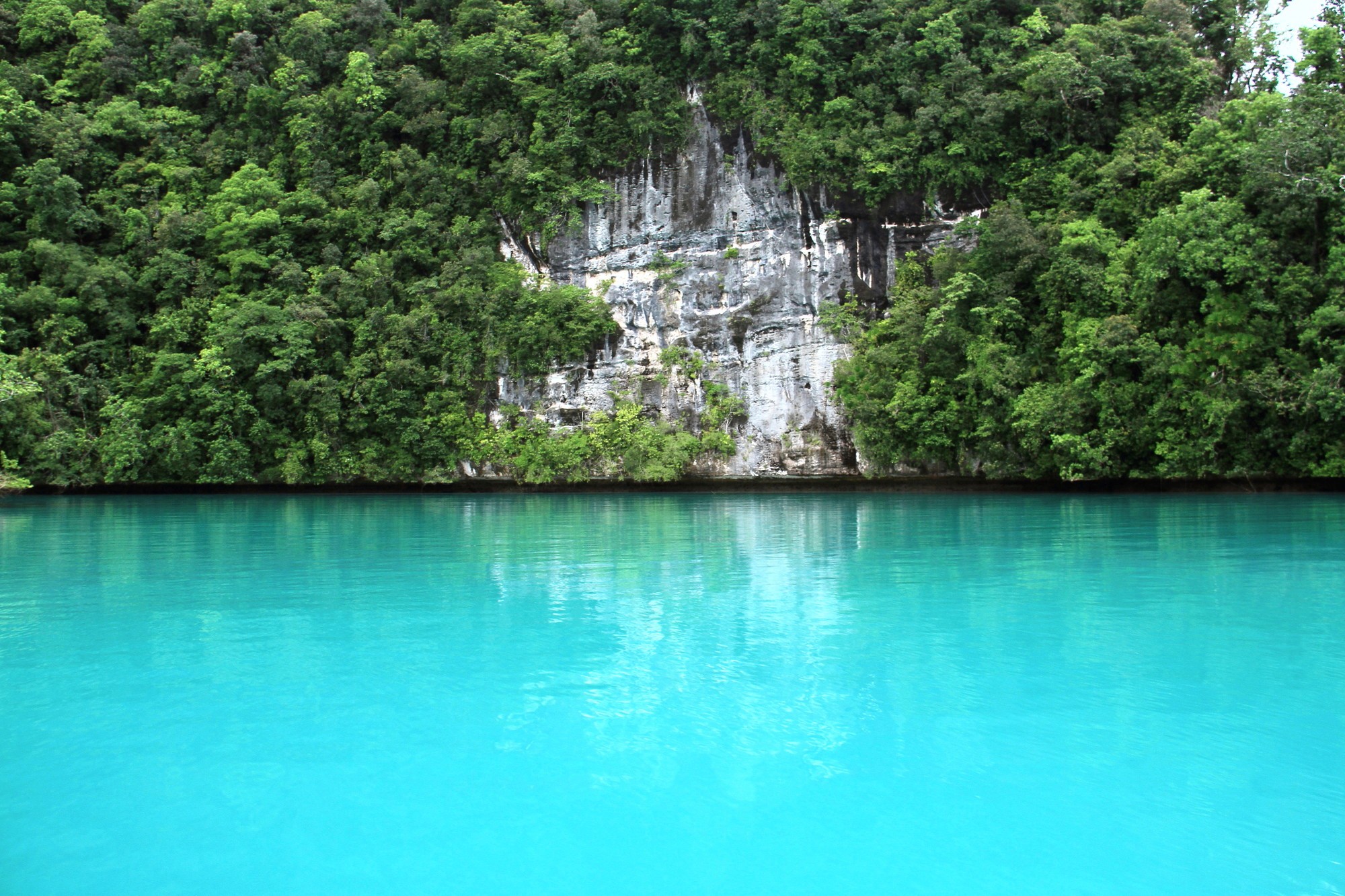 two person playing tennis