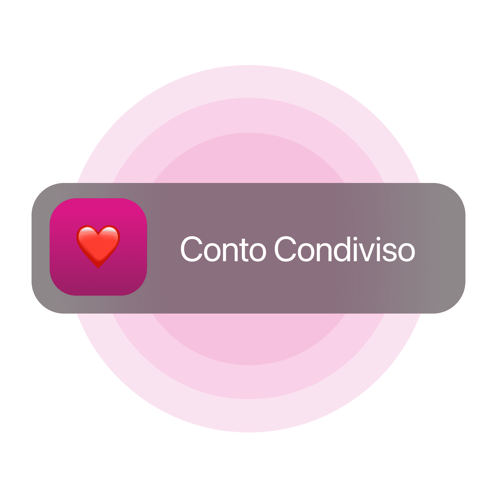 Grafico che mostra un saldo di un conto condiviso di 2.500 €, con opzioni per transazioni tramite carte.