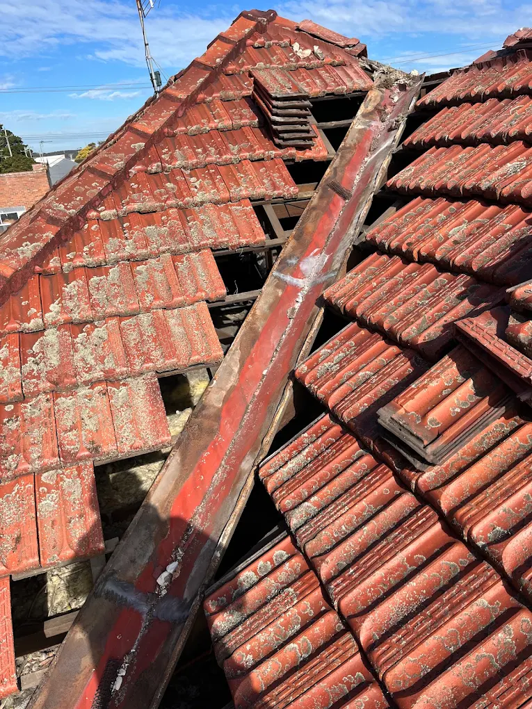 two roof of houses