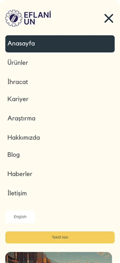 Mobile website mockup menu