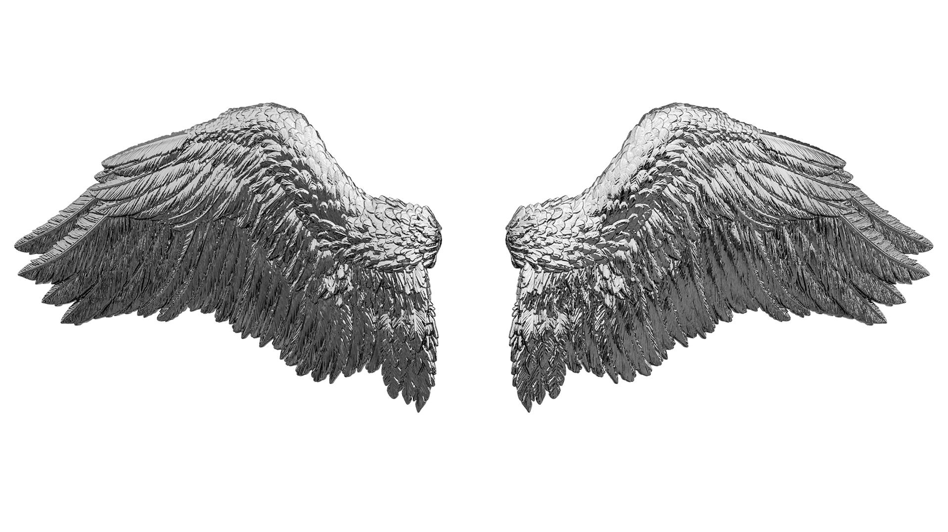 Portrait of portfolio creator – back view