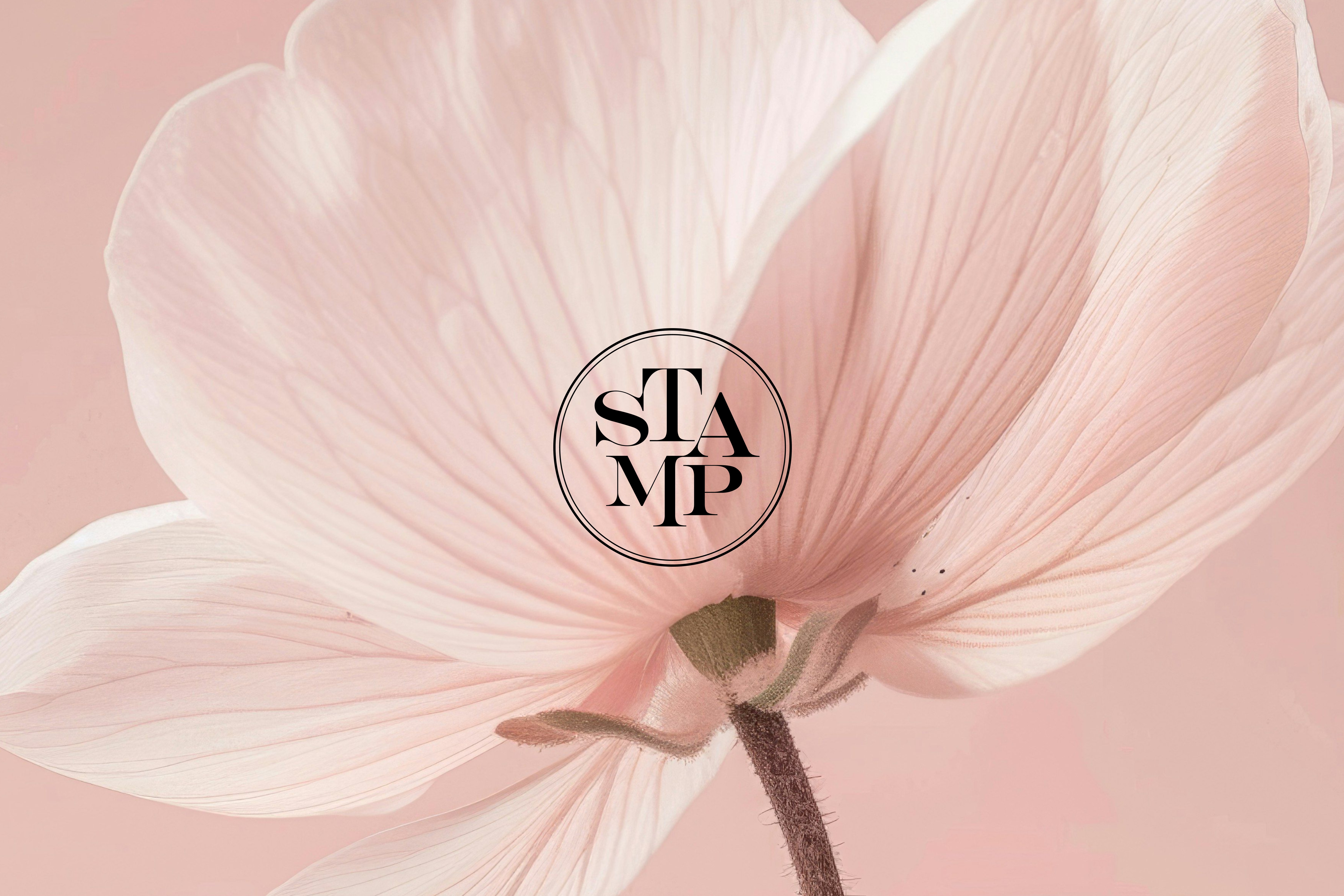 A delicate close-up of a soft pink flower with the STAMP monogram logo overlayed, representing the brand’s refined elegance.