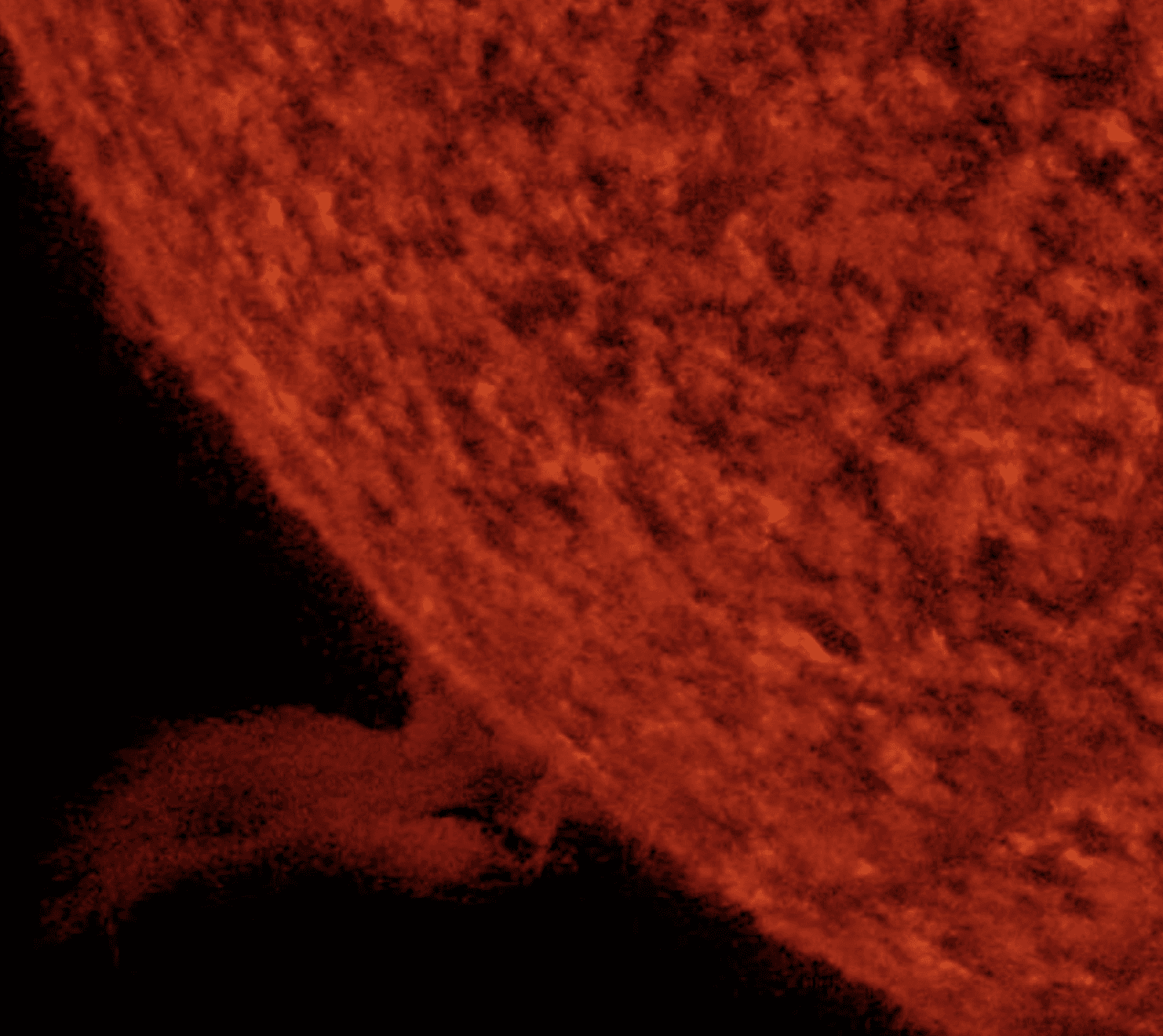Solar eruption