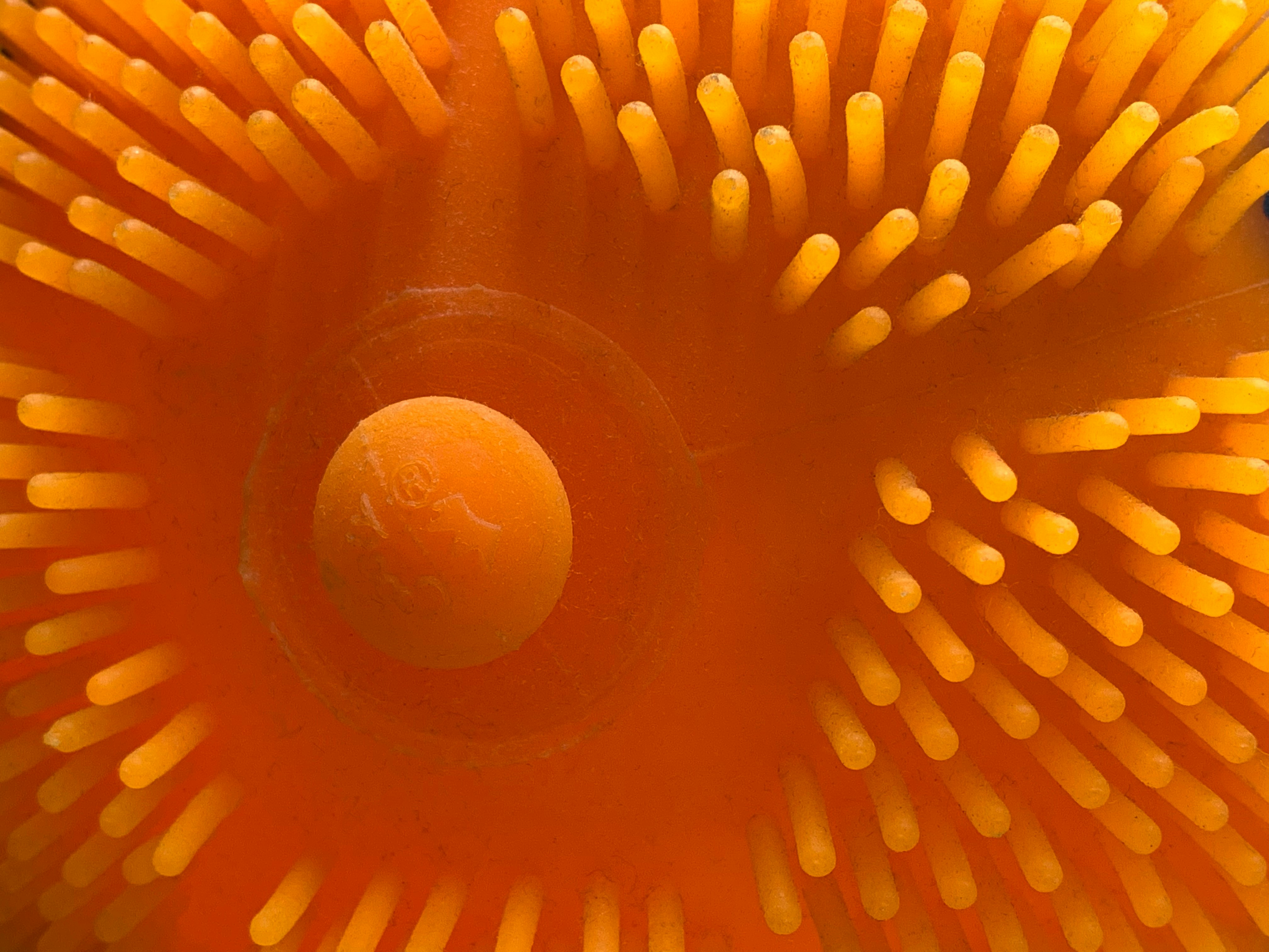a close up view of a yellow flower