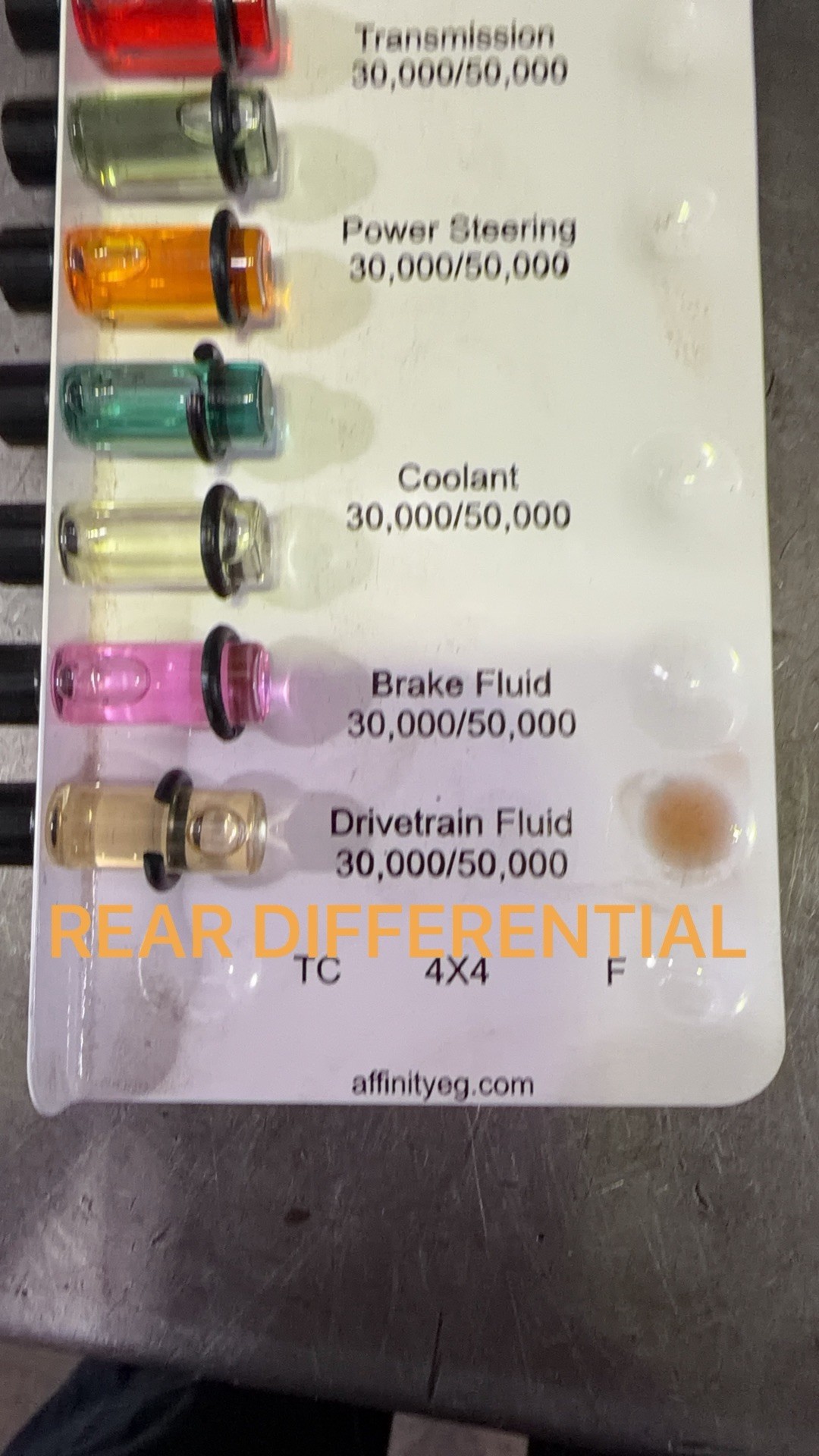 Rear differential fluid sample on the comparison tray, dark orange next to the new drivetrain fluid reference
