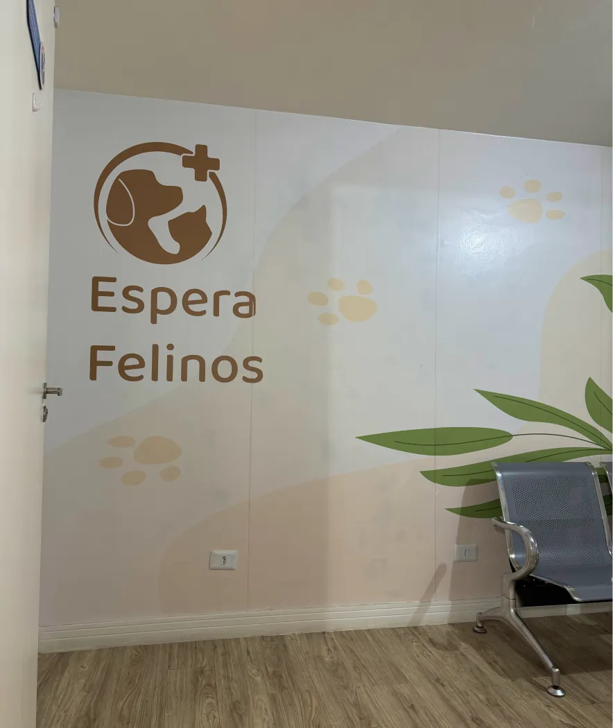 Estrutura WayCare