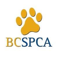 BCSPCA Logo