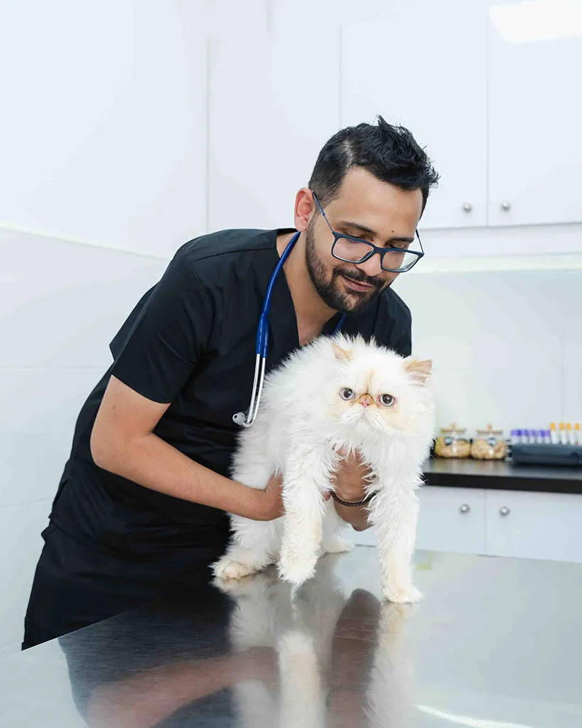 We are proud to welcome Dr. Ahmed Jamal to the Noble Veterinary Clinic family.